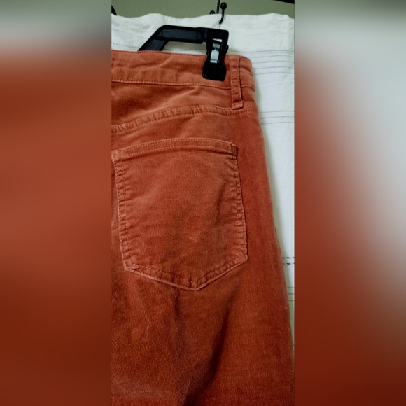 AVEC LES FILLES  Anthopologie burnt orange, wide leg corduroy pants, size 8 EUC - Picture 3 of 13